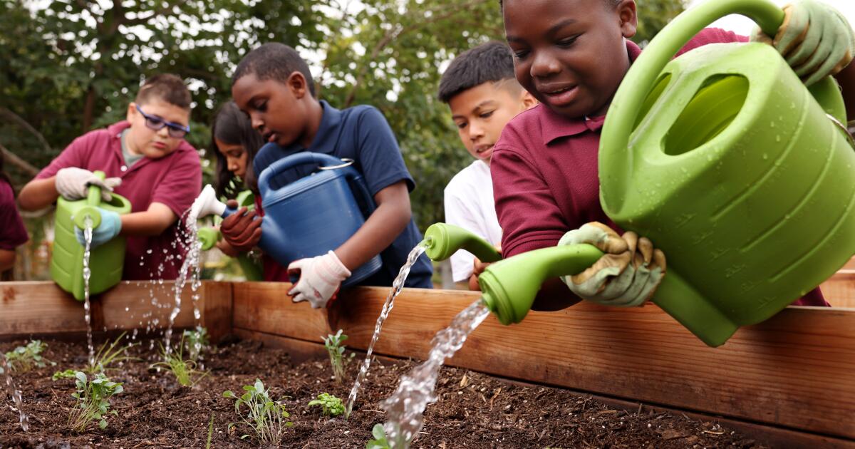 Kids learn to be climate literate amid trees, flower beds and herbs