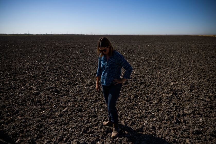 Kim Gallagher stands in a rice field she's fallowed due to a lack of water in Knights Landing, California, August 3, 2021.