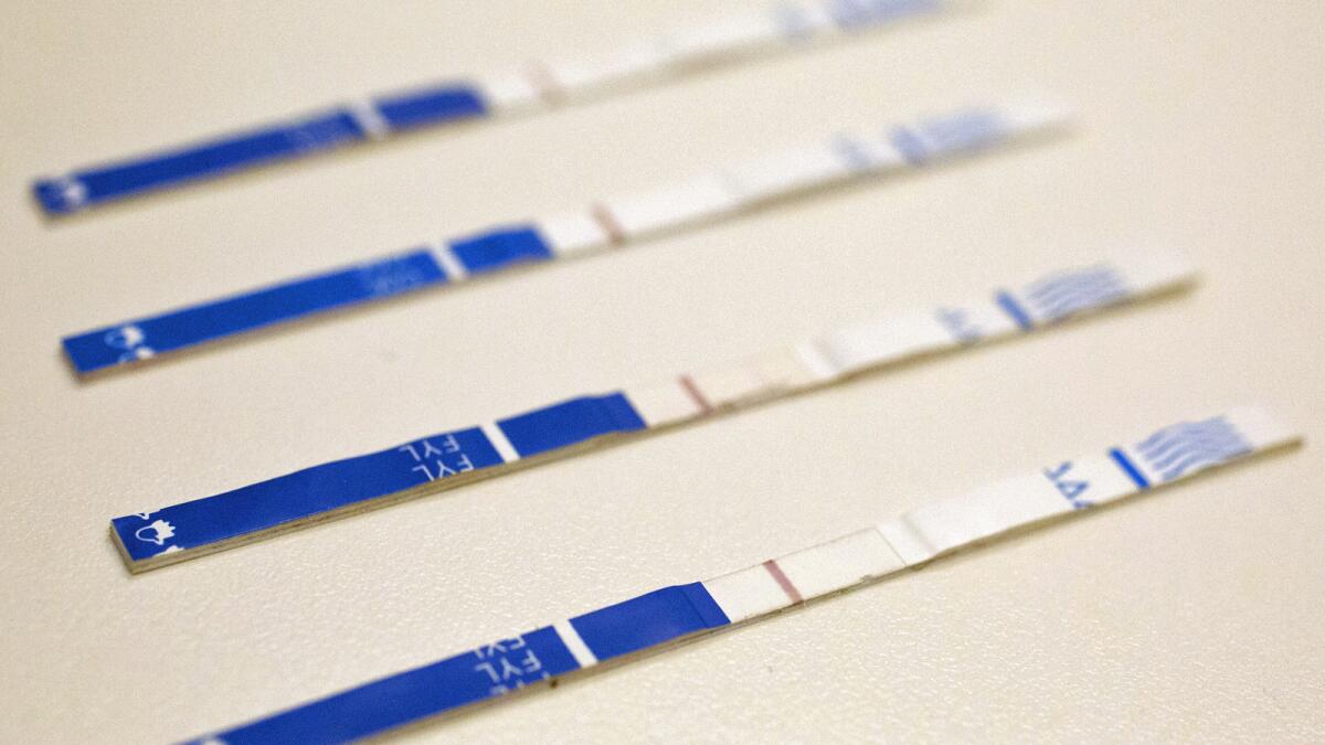 Fentanyl test strips. The synthetic opioid is cheap to make and extremely potent — up to 50 times stronger than heroin.