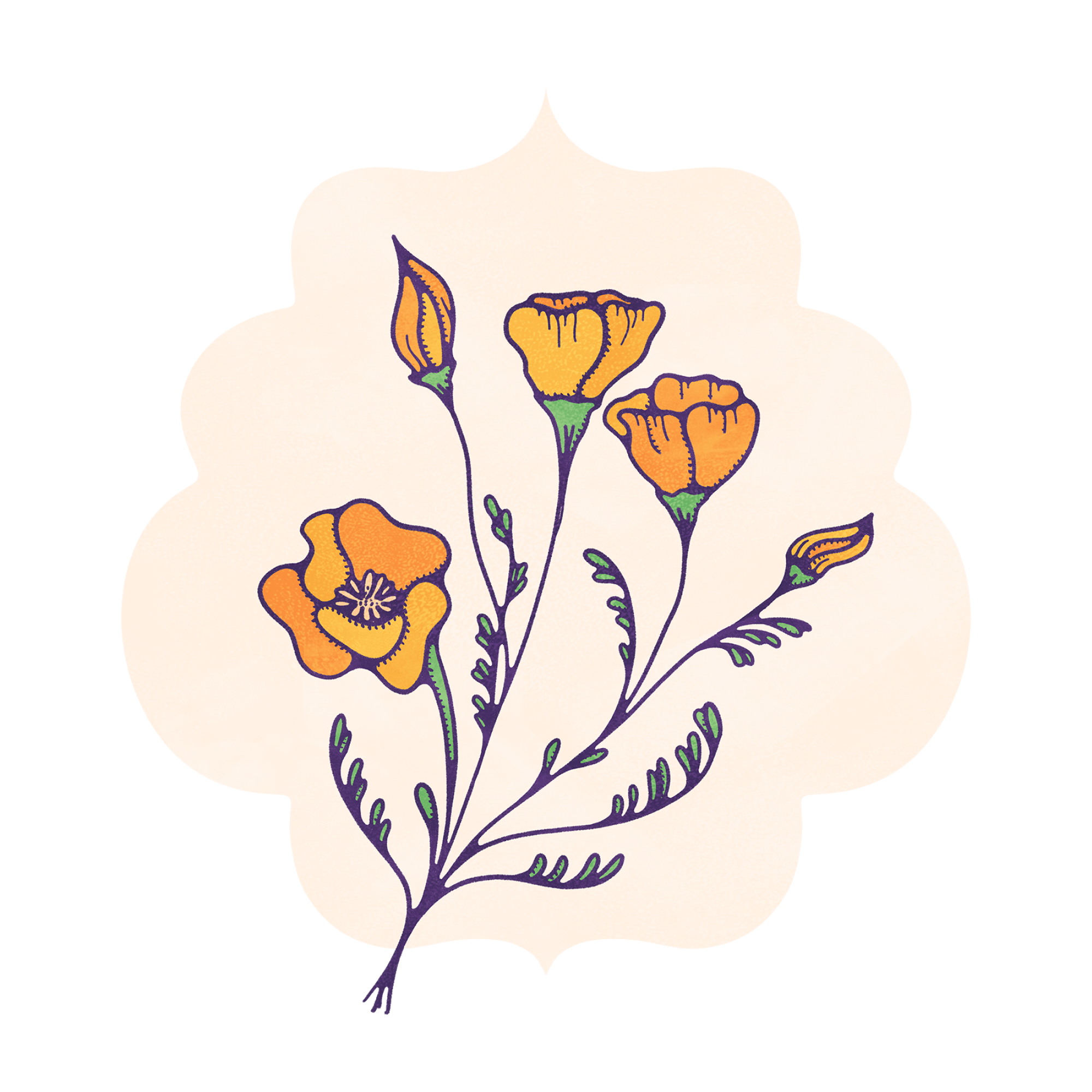 California poppy