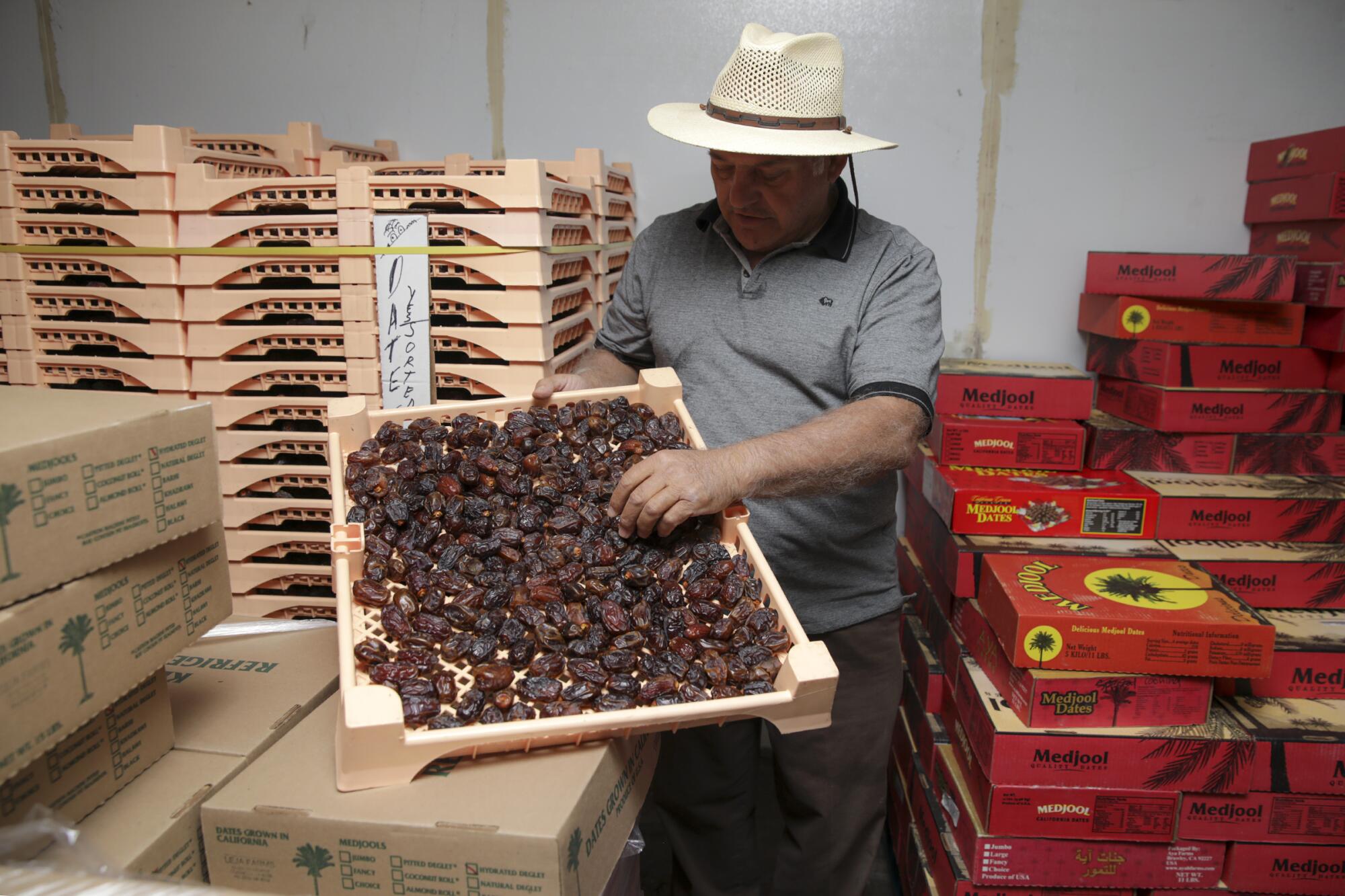 Ahmad Fejleh holds a tray of medjool dates from his date farm in Westmorland.