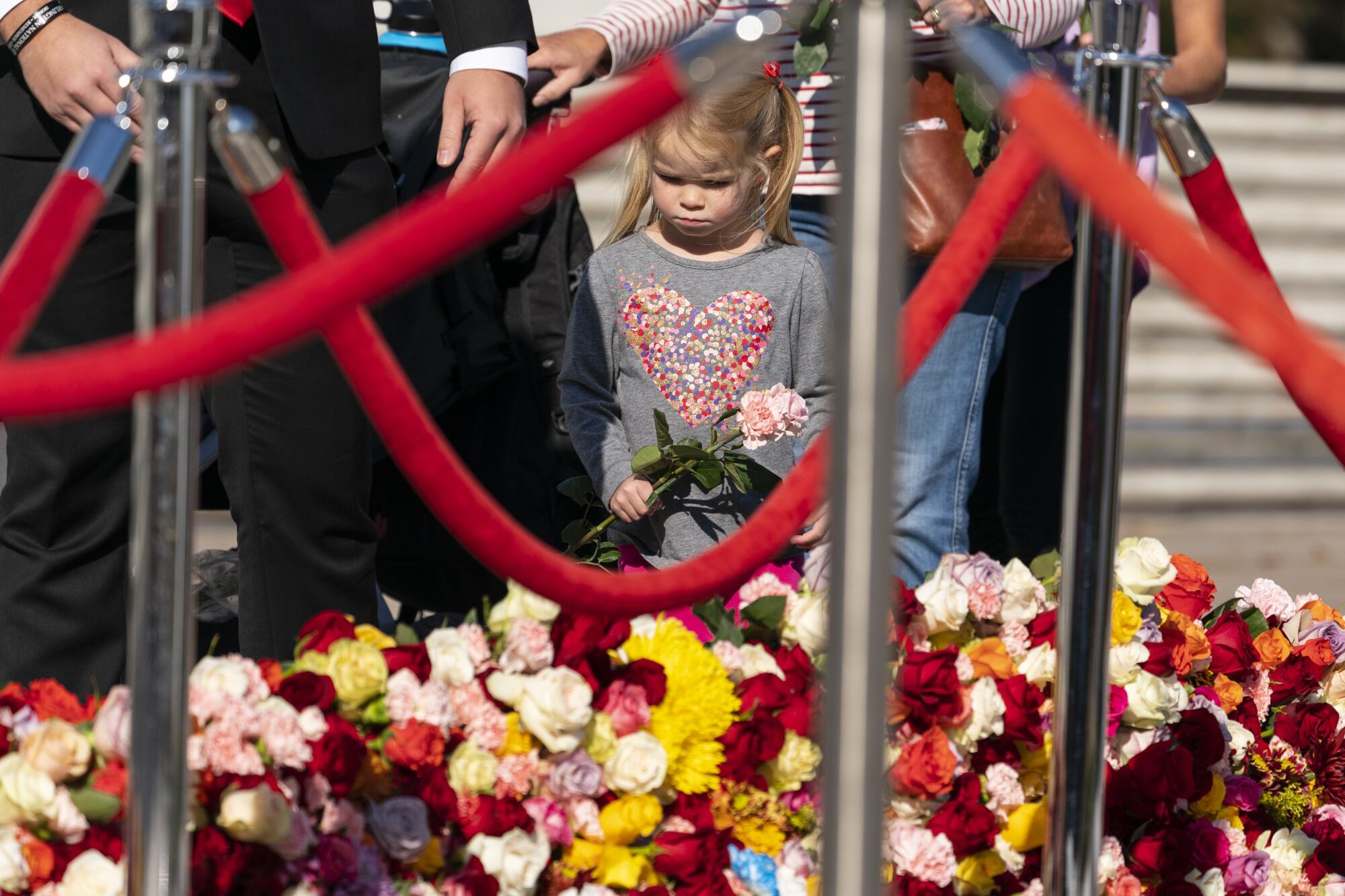 A child prepares to place a flower