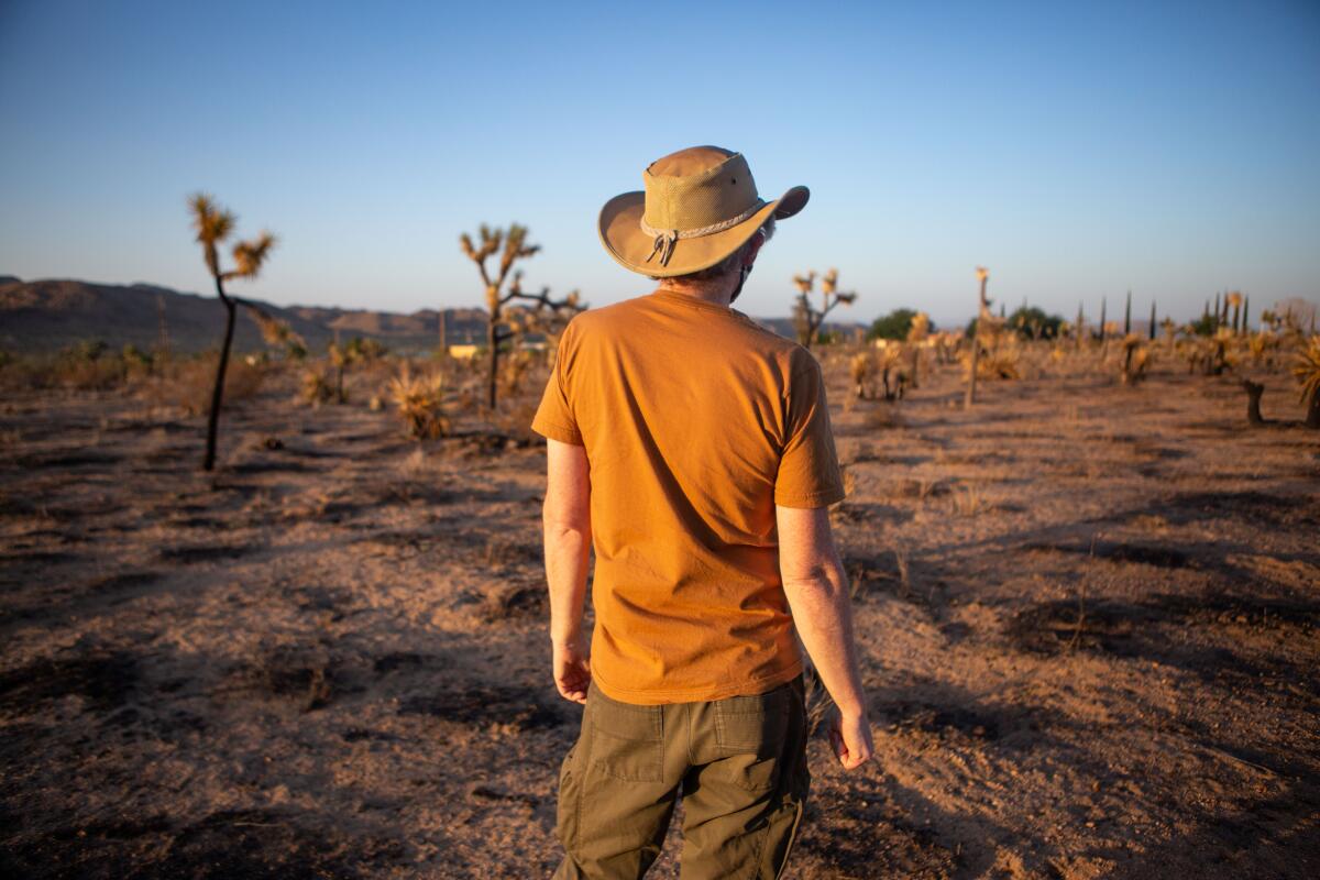 Brendan Cummings in an area where Joshua trees are facing extinction due to climate change.