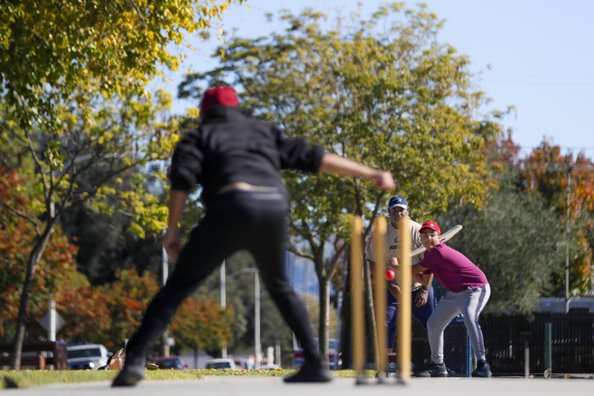 Men play cricket at a park