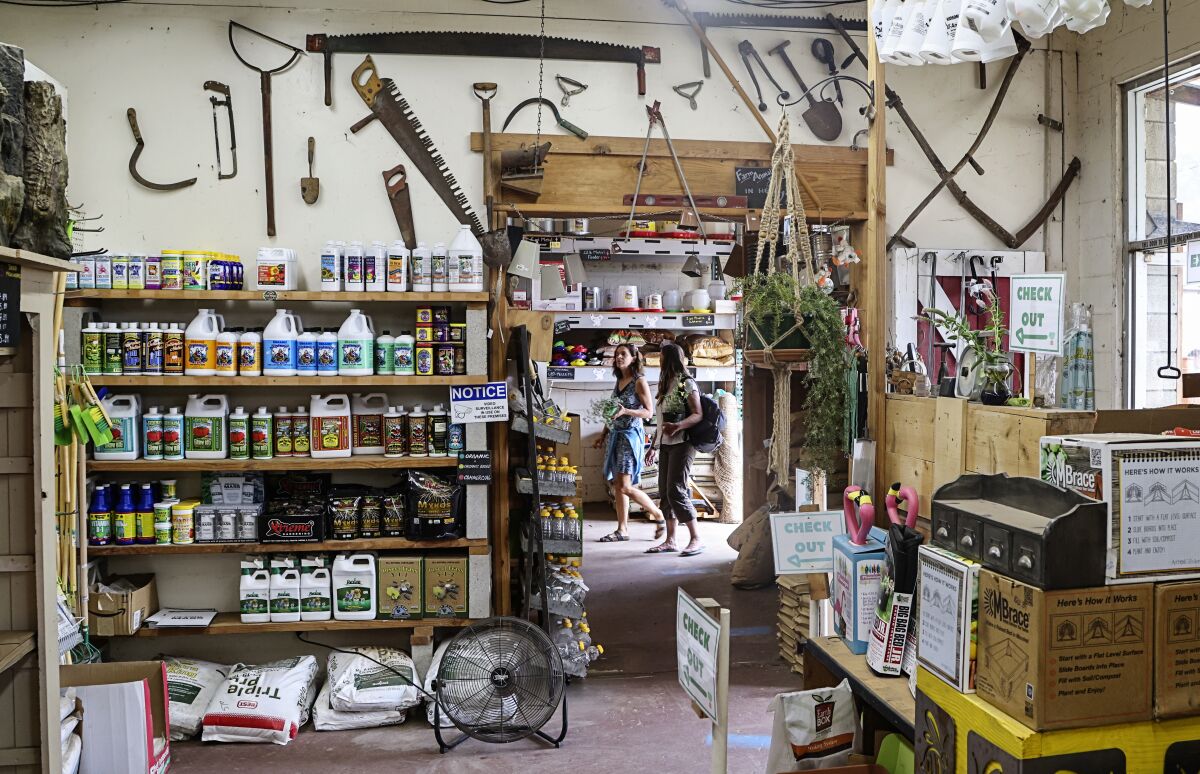 Vintage tools on display at City Farmers Nursery.