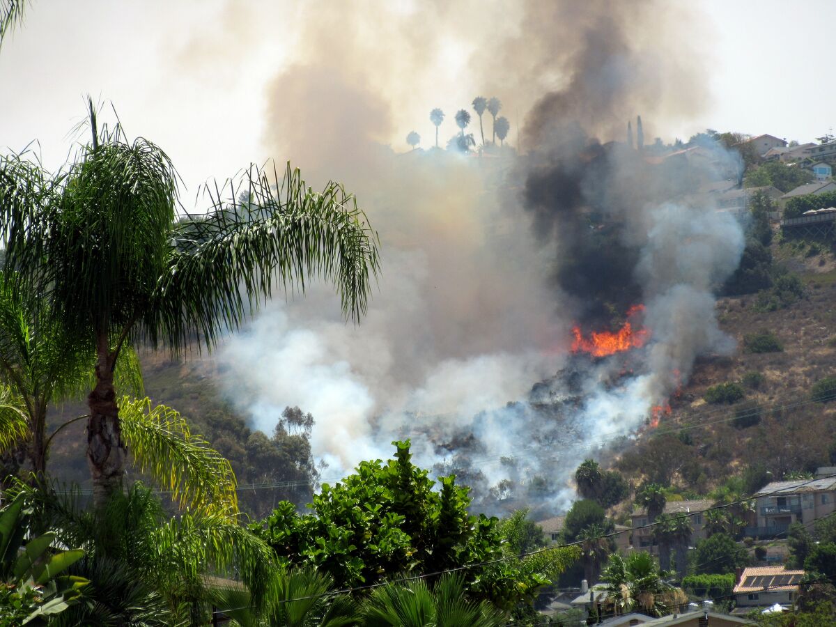 A small brushfire broke out in the San Carlos area of San Diego late Friday morning. 