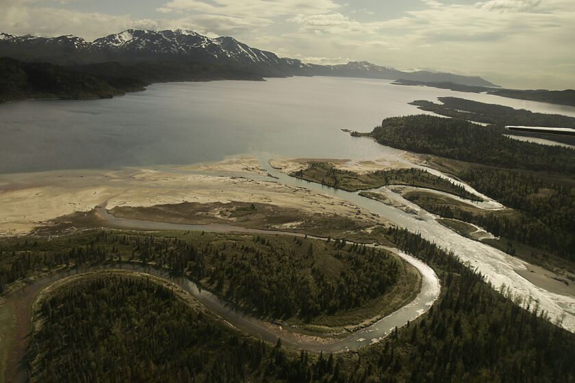 The Pile River flows into the northern end of Lake Iliamna, the largest in Alaska. The lake and its tributaries are the headwaters of the Bristol Bay region, one of the richest salmon fisheries in the world.