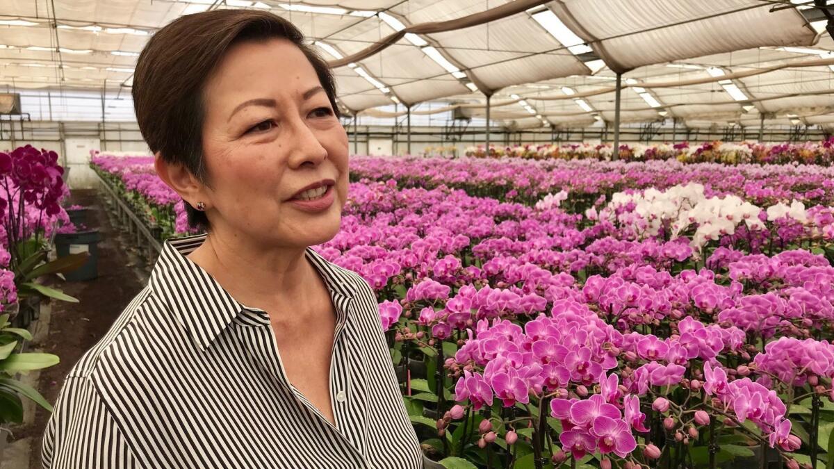 Theresa Matsui at her family orchid farm in Salinas.
