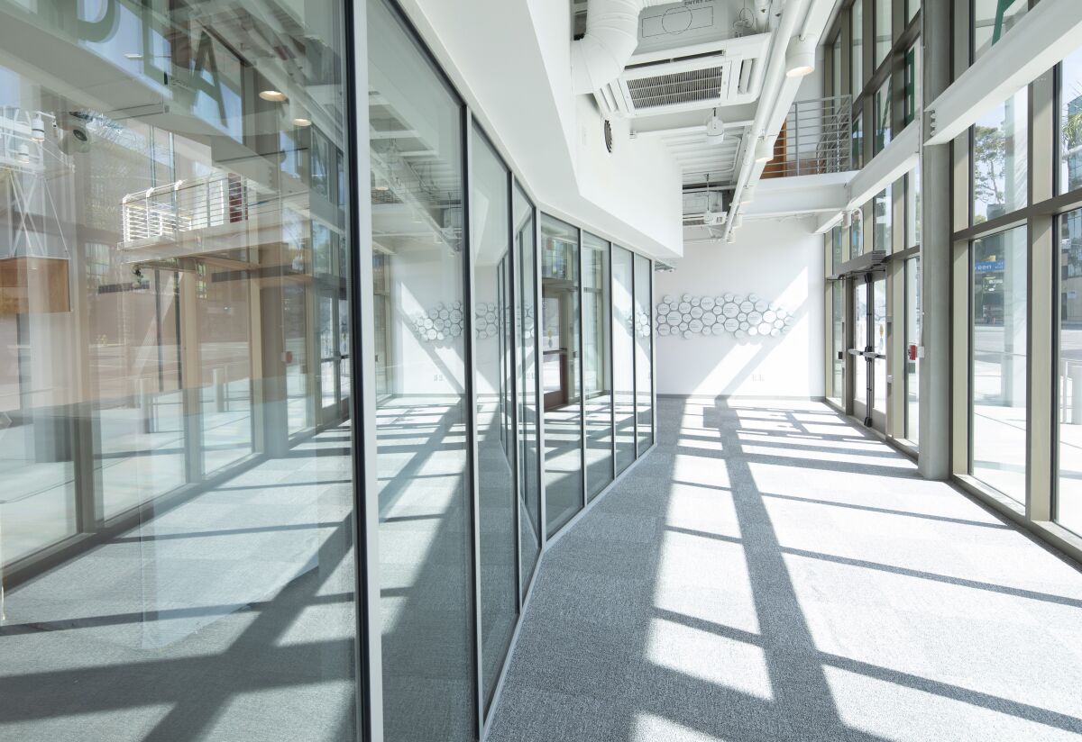 Sunlight streams through floor to ceiling windows in the Beckmen YOLA Center's lobby
