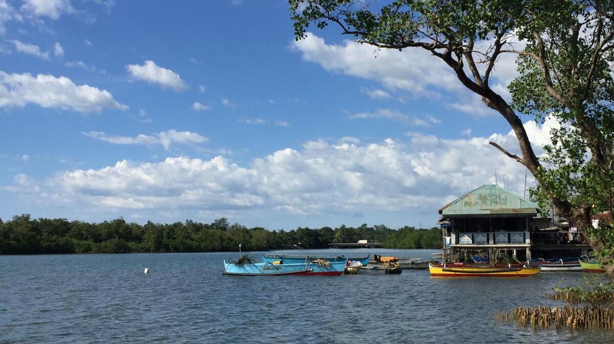 The water at Masinloc, in the western Philippines.