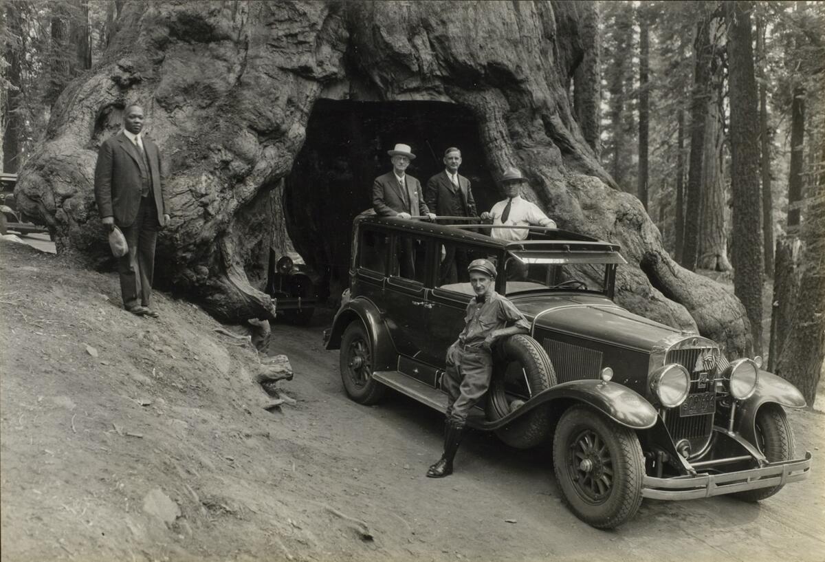 Audley D. Stewart, George Eastman and companions ridiing through the Wawona Tree in Yosemite National Park, Pacific coast trip, 1930 (Courtesy of Geroge Eastman Museum, Gift from University of Rochester)