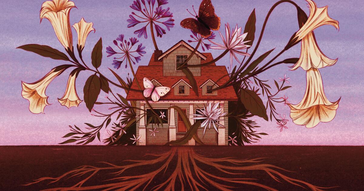 Contributor: My final backyard – Los Angeles Instances Contributor: My final backyard – Los Angeles Instances