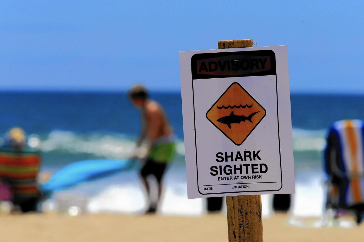 Newport Beach's Animal Monitoring Log website lists confirmed shark sightings in the area.