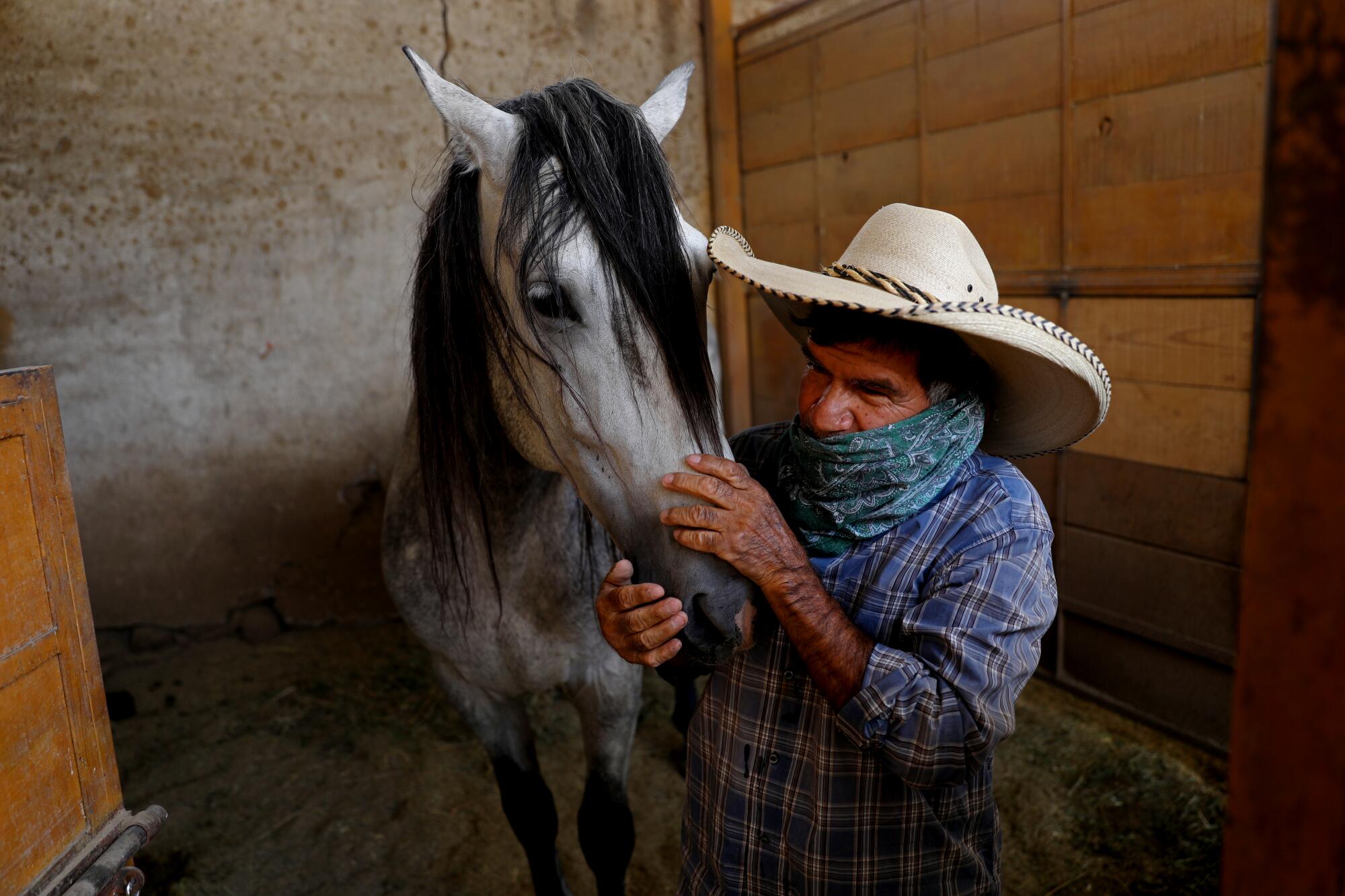 Rafael Gonzalez, wearing a charro hat and bandanna, rubs a horse's muzzle in a stall. 