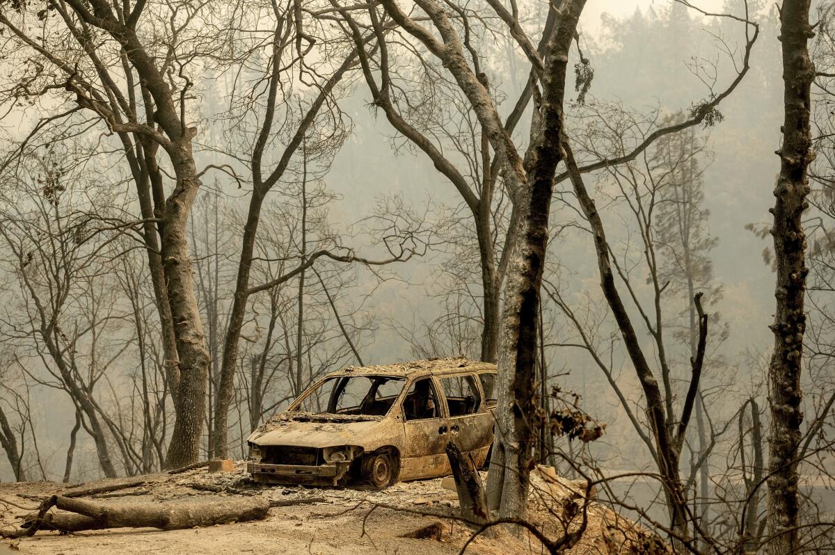 A burned van surrounded by trees.