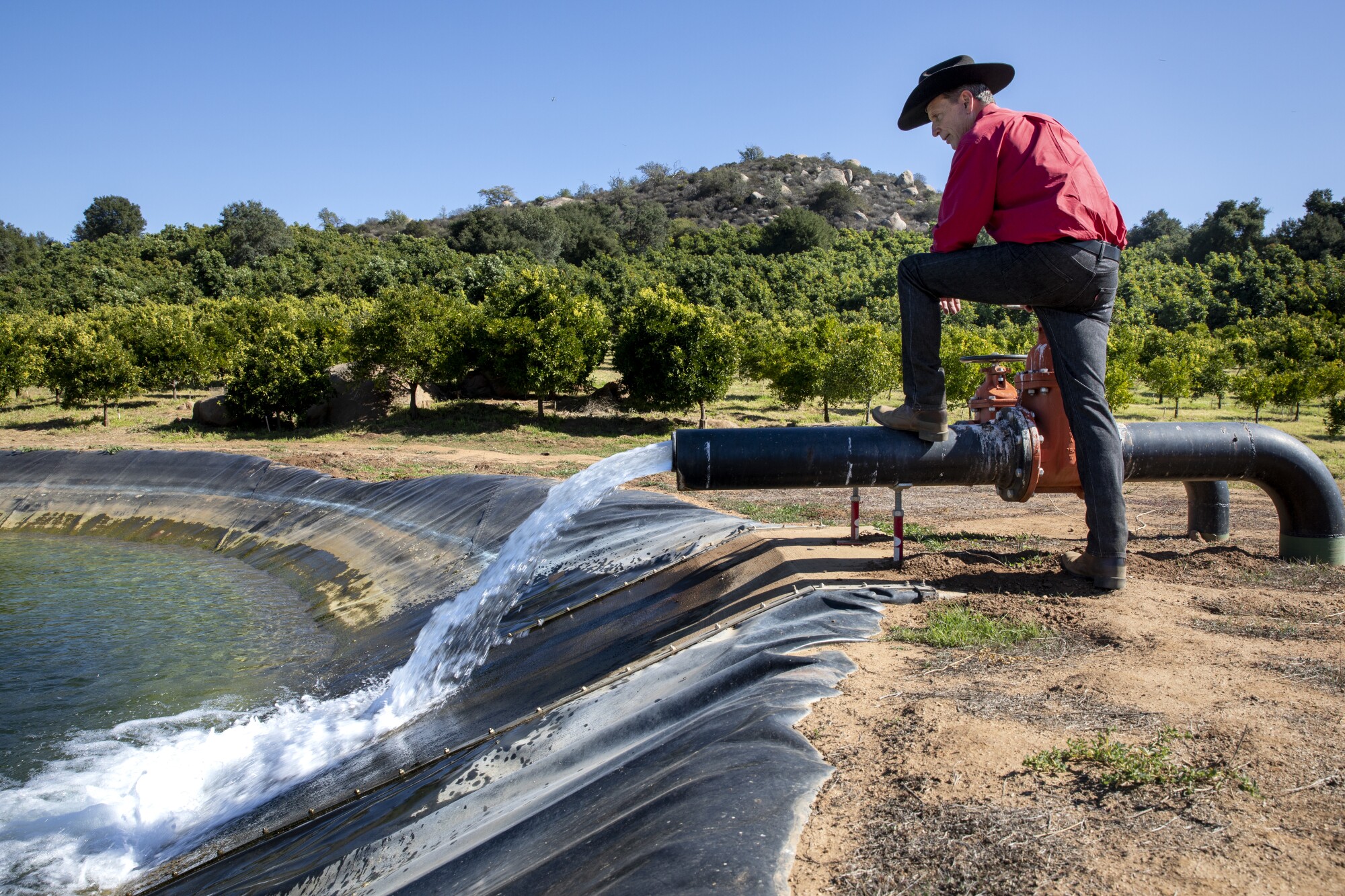 El administrador de la tierra, Hank Rupp, mira en un estanque de retención de agua de pozo en el Rancho Guejito