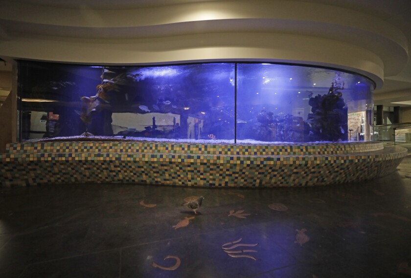 Union Station exhibit