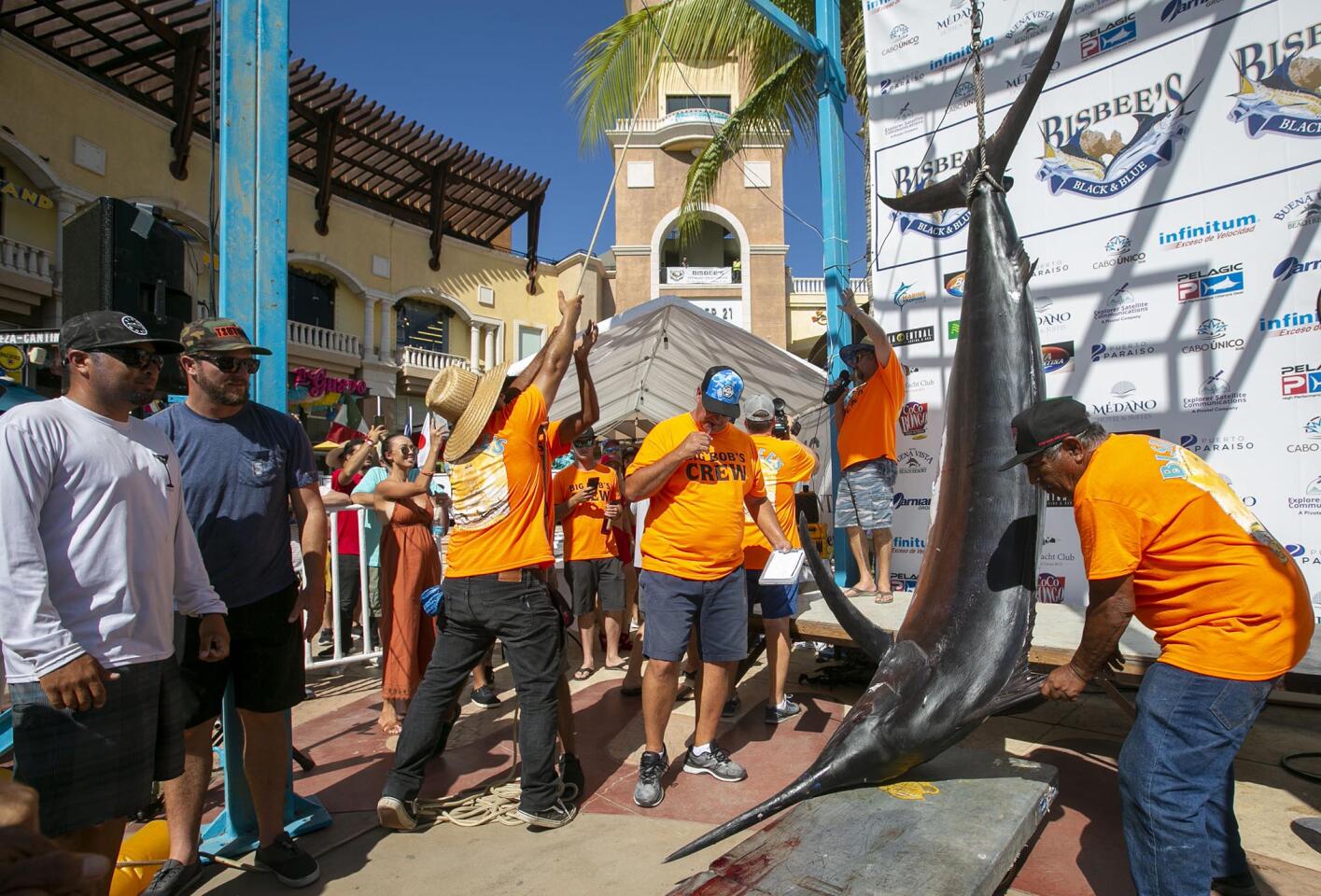 Photos: Everything is big at the Bisbee's Black & Blue marlin tournament -  The San Diego Union-Tribune