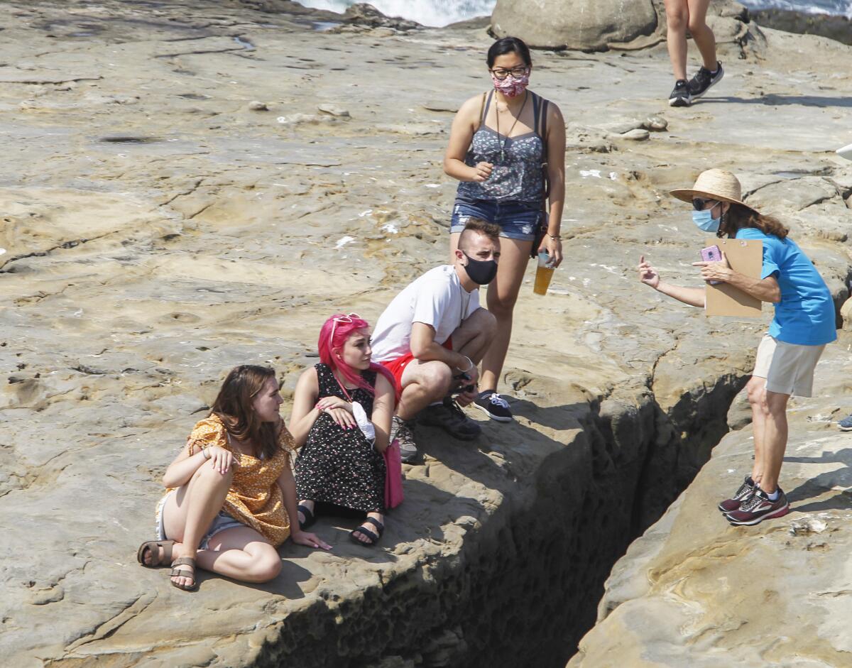 Docent Robyn Davidoff talks with beach-goers talks about the sea lions and their pups at a rookery next to Point La Jolla.