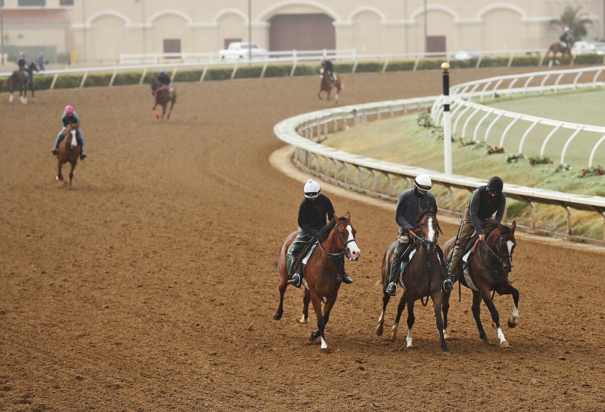 Horses get in their morning workout at Del Mar.