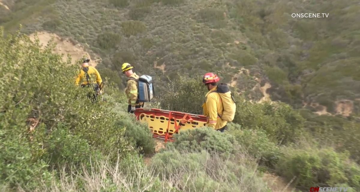 Hiker is rescued after plunging 25 feet from a Torrey Pines ...