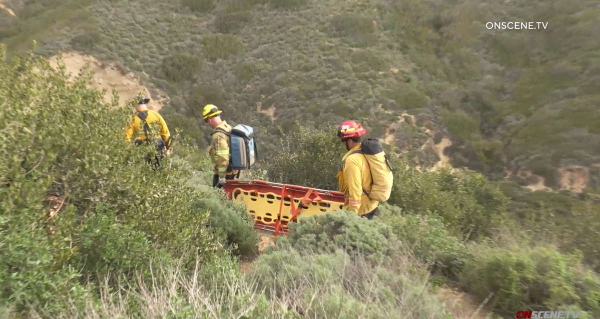 The man fell around 9:30 a.m. Tuesday in Indian Canyon at Torrey Pines, officials said.
