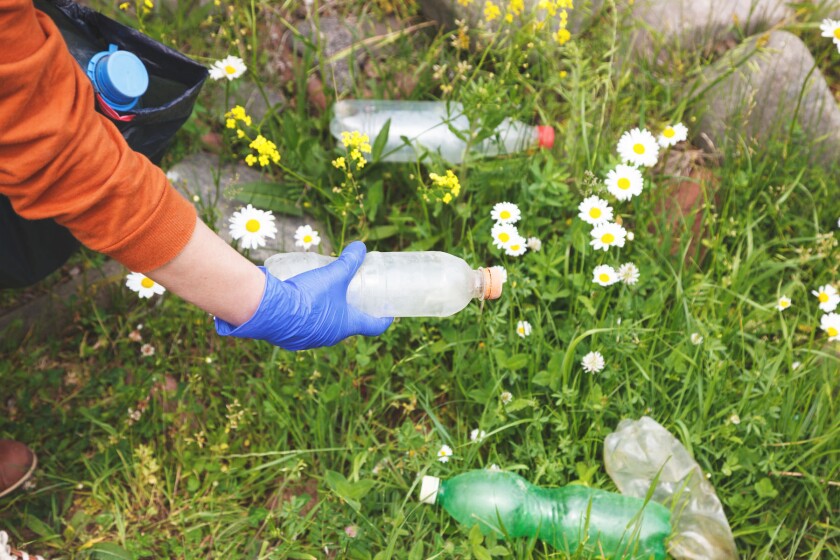 person collecting garbage and picking up plastic bottle waste at dirty nature summer meadow, earth pollution
