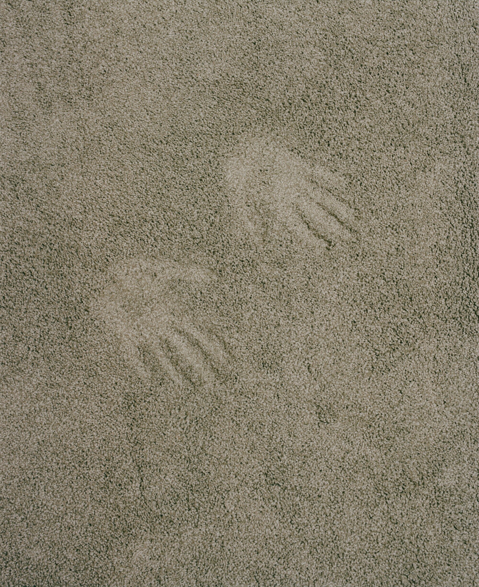Detail photo of a drab, taupe carpet with two hand prints