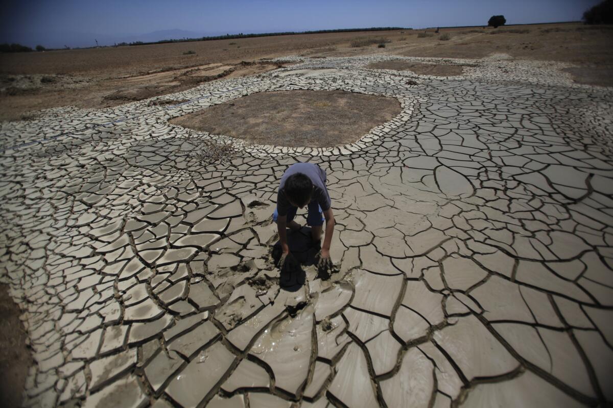 Forecasters say a weak El Niño won't bring enough precipitation to quench California's drought. Here, Brandon Arthur, 10, tries to get out of gooey tailings at father Steve Arthur's water well drill site near Terra Bella, Calif., on July 16, 2014.