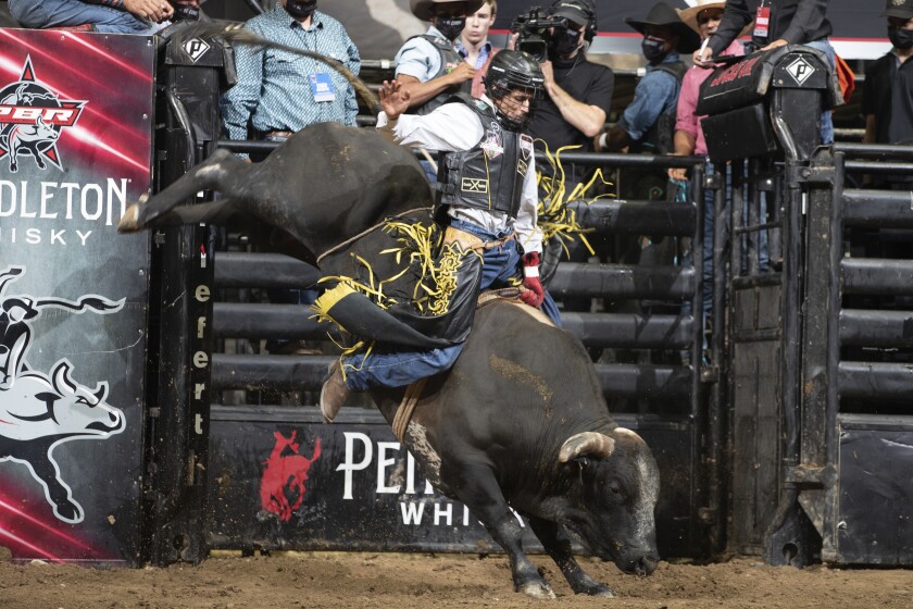 A helmeted cowboy rides a lurching bull at a rodeo