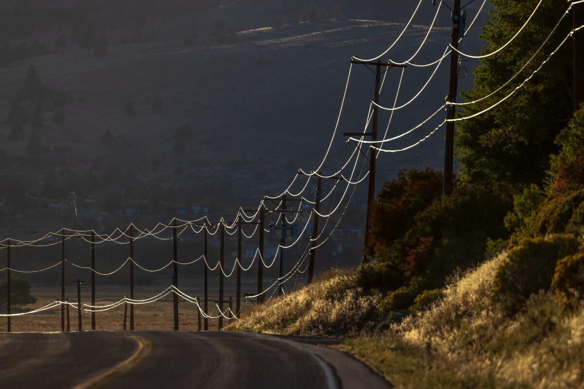 Power lines along a road.