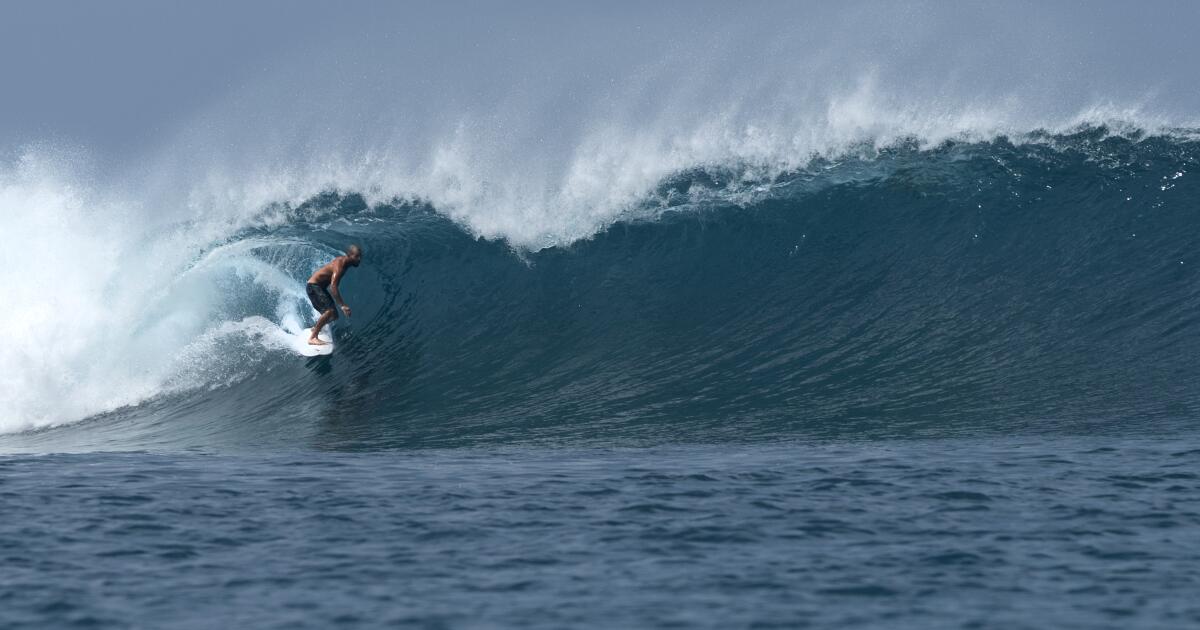 Surfer dies after being pierced by a swordfish in Indonesia