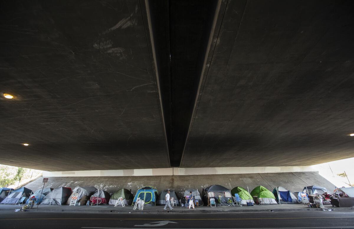 The homeless encampment under the 118 Freeway in Pacoima. Caltrans has sought to move the camp but faces legal challenges.