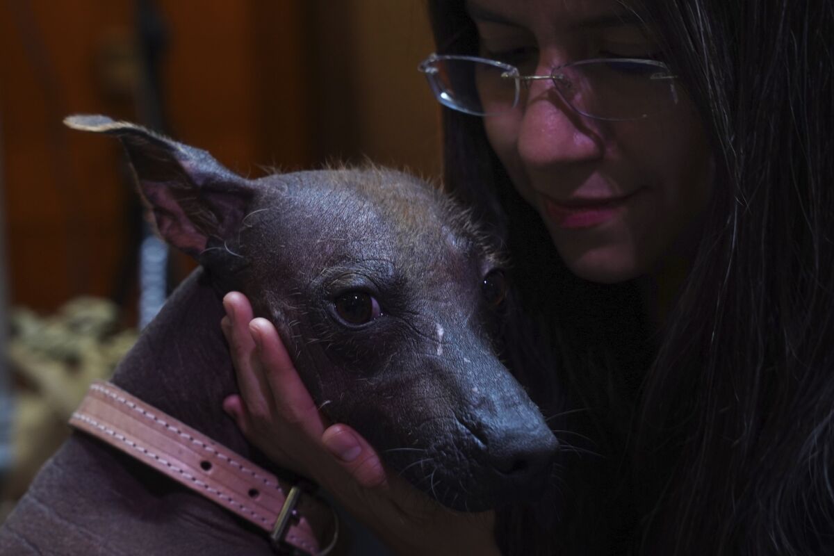 A woman brings her face close to the head of a dog while caressing its jaw