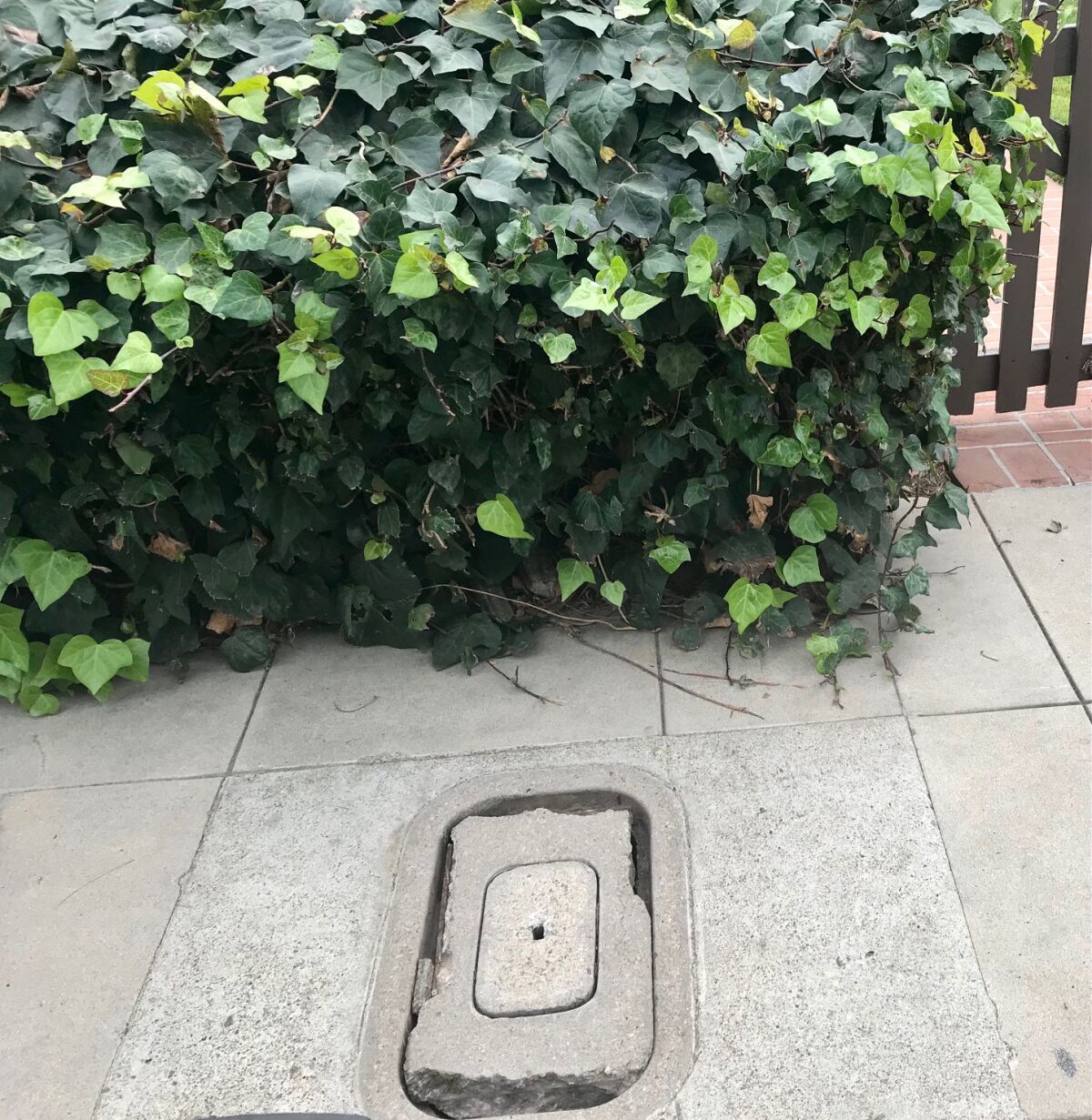 The crumbling water meter cover outside Inga's front gate was a broken ankle waiting to happen for people who walked on it.