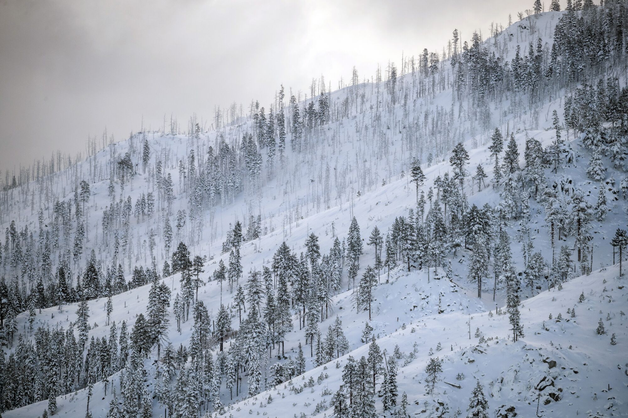 A coat of fresh snow is seen on a mountain