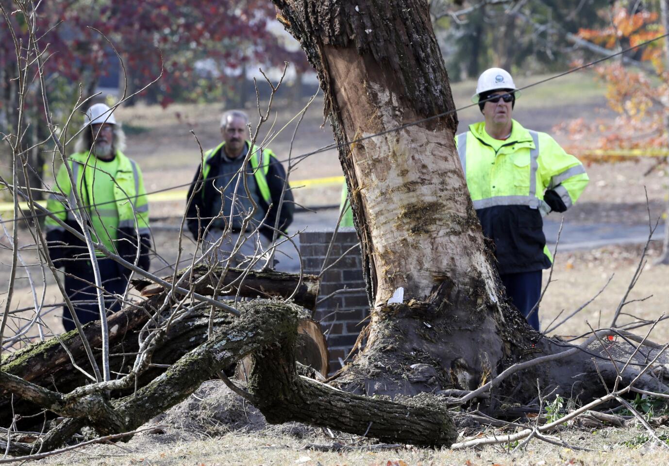 Workers stand by a tree Nov. 22, 2016, at the site of a deadly school bus crash in Chattanooga, Tenn.