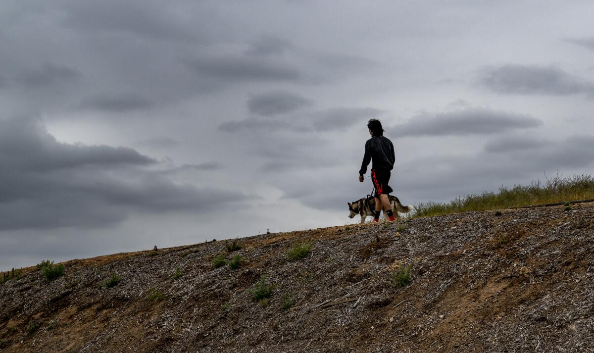 A man walks his dog under gray skies on sloped ground.