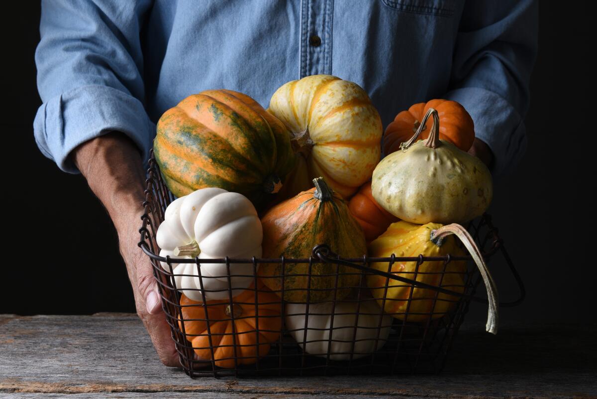 A farmer holds a basket of pumpkins, squashes and gourds.