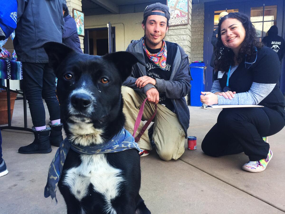 Ryder, a Catahoula/Labrador/pit bull mix, awaits a checkup at a Street Dog Coalition clinic while his owner Shamus butler (center) gives information on his pet to veterinarian Rebeca Uribe.
