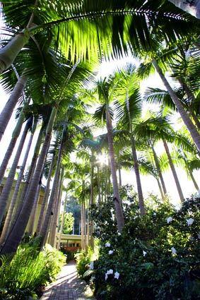 Richard Neutra, Nesbitt tropical garden