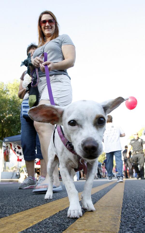 Photo Gallery: National Night Out in Burbank