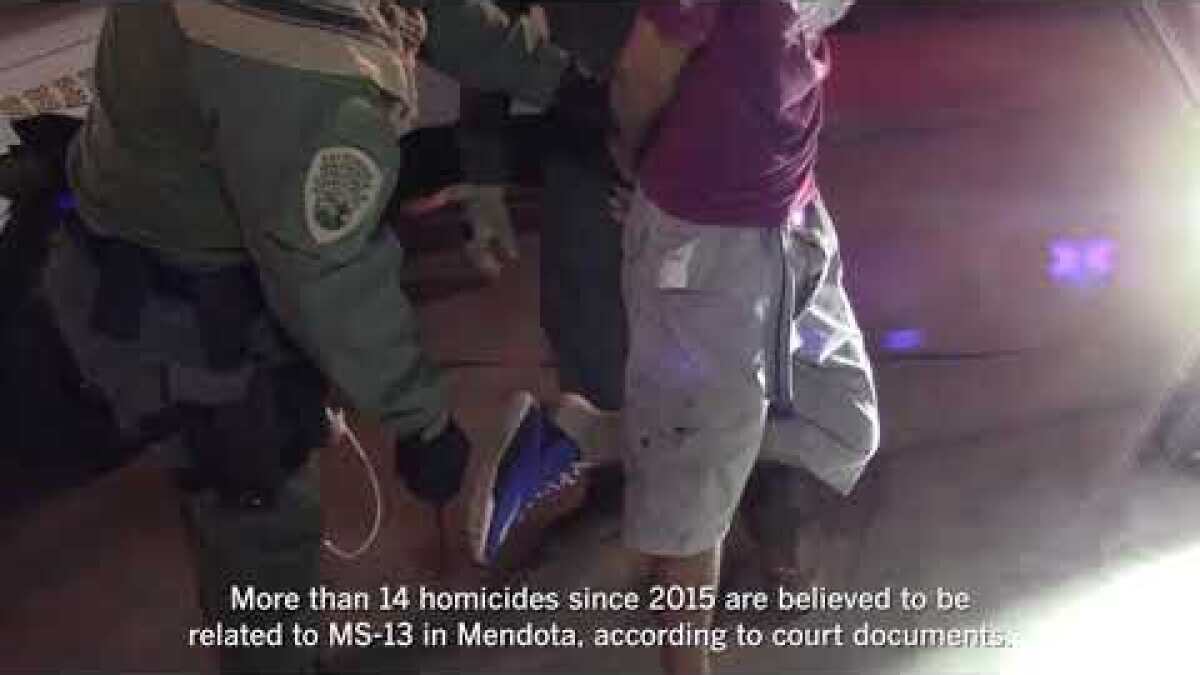 25 Arrested In Operation Targeting Ms 13 Gang In Central Valley