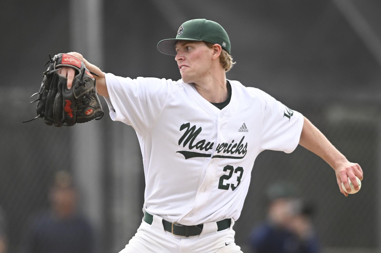 Notre Dame's Justin Lee is Times' baseball player of the year