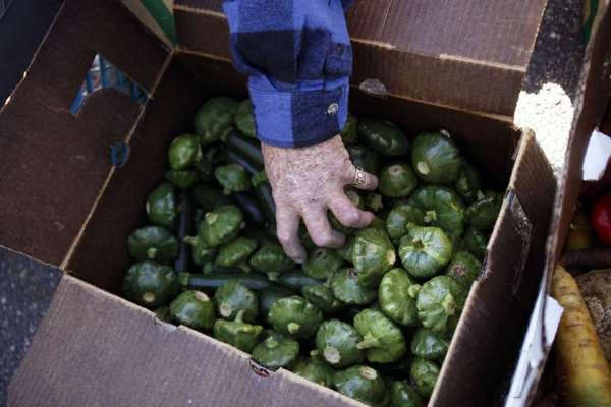 A man reaches into a box of squash at a food bank giveaway in Groveland.