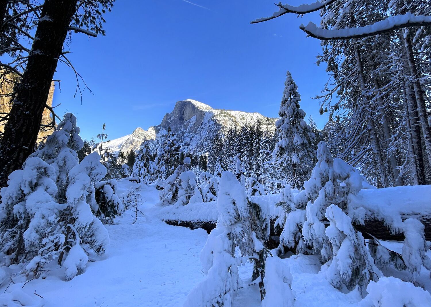 Photos: Yosemite Valley under a beautiful blanket of snow
