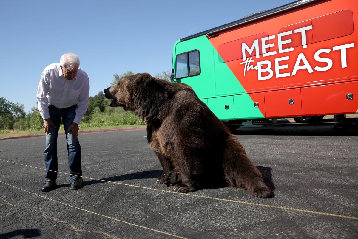  John Cox greets a 1,000-pound bear at a campaign rally at Miller Regional Park in Sacramento.