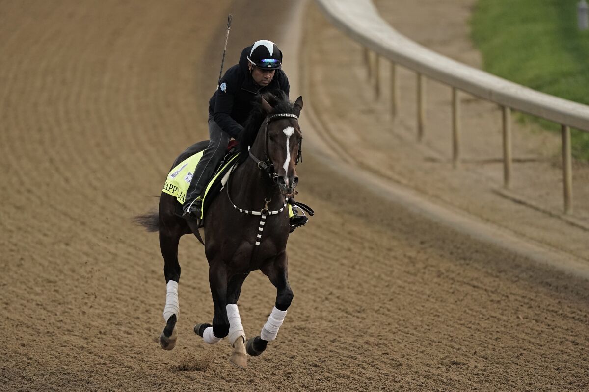 Happy Jack works out at Churchill Downs on May 4. Happy Jack will be running in the Preakness Stakes on Saturday.