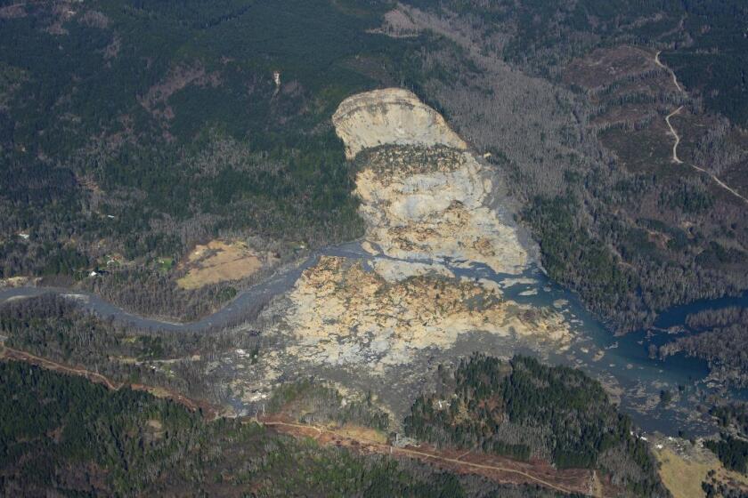 The site of the massive mudslide in Washington state.