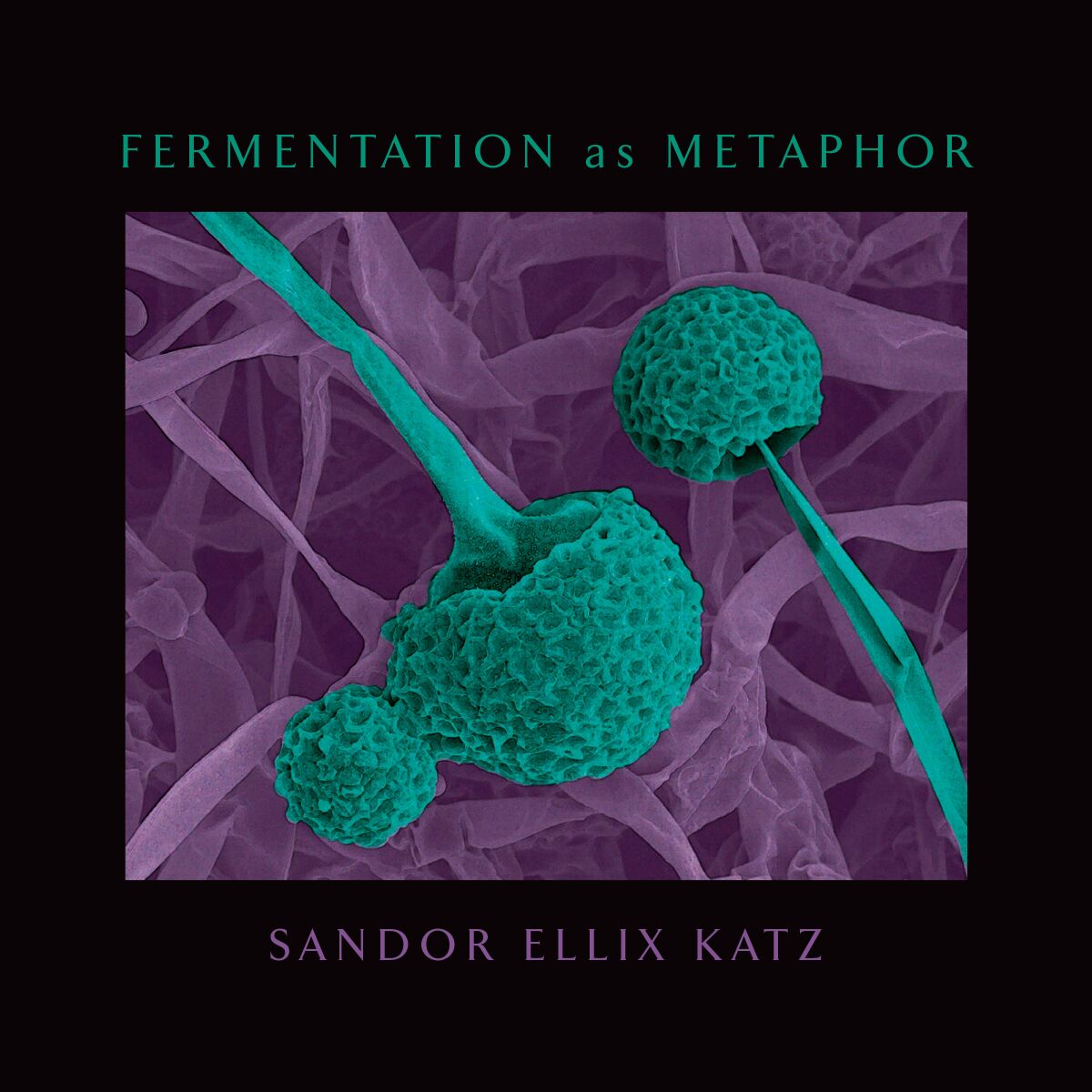 Fermentation as Metaphor by Sandor Ellix Katz